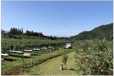信州高山ワインReve de Vin画像3